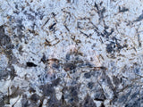 Petrus White Polished Granite Slab